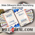 Male Silkworm Moth Nourishing Oral Liquid kamagra1